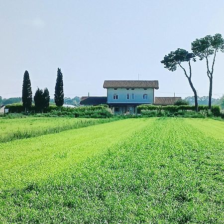 La Ricarda Dimora Di Campagna Bed & Breakfast Paestum Eksteriør bilde
