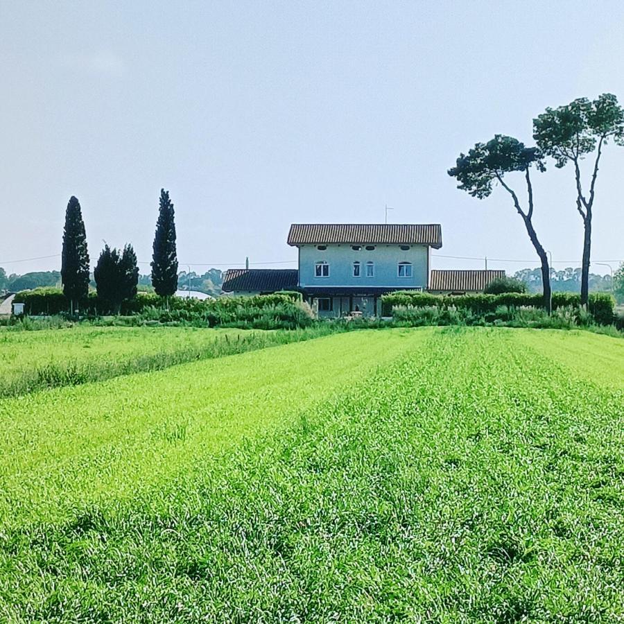 La Ricarda Dimora Di Campagna Bed & Breakfast Paestum Eksteriør bilde