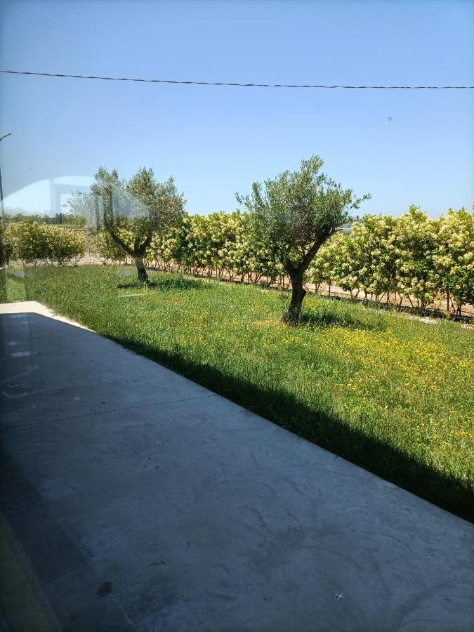 La Ricarda Dimora Di Campagna Bed & Breakfast Paestum Eksteriør bilde