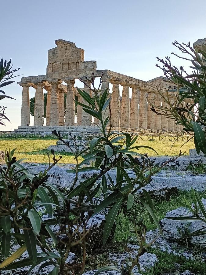 La Ricarda Dimora Di Campagna Bed & Breakfast Paestum Eksteriør bilde