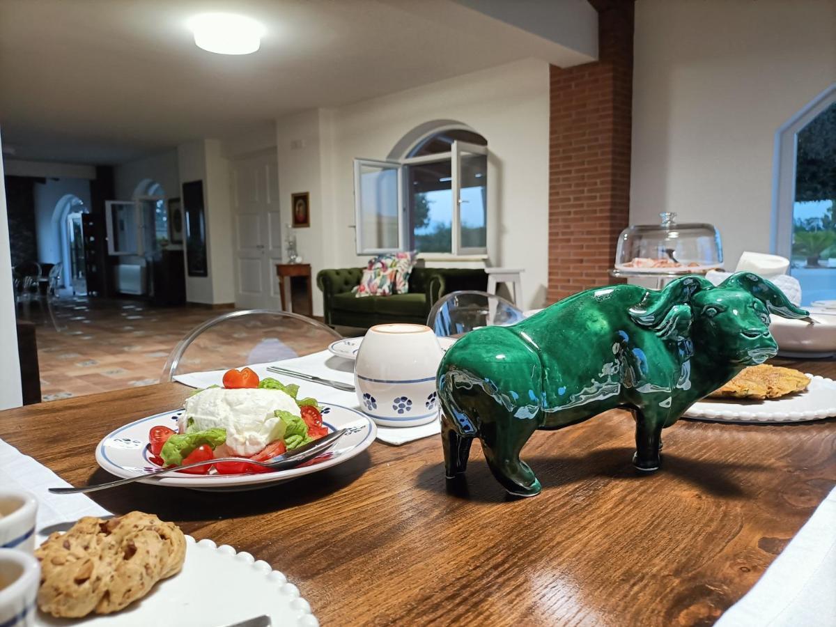 La Ricarda Dimora Di Campagna Bed & Breakfast Paestum Eksteriør bilde